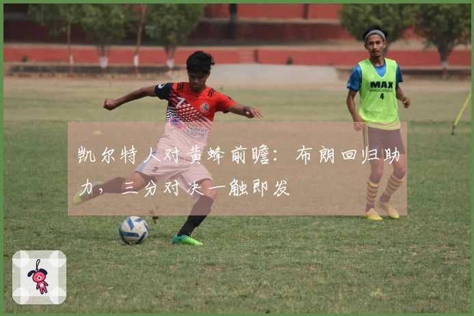 凯尔特人对黄蜂前瞻：布朗回归助力，三分对决一触即发